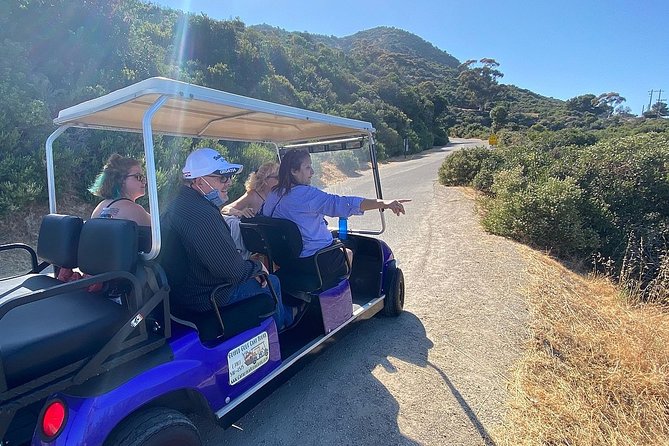 Private Guided Golf Cart Tour of Avalon - The Catalina Casino area: photos, fish feeding, and the waterfront vibe