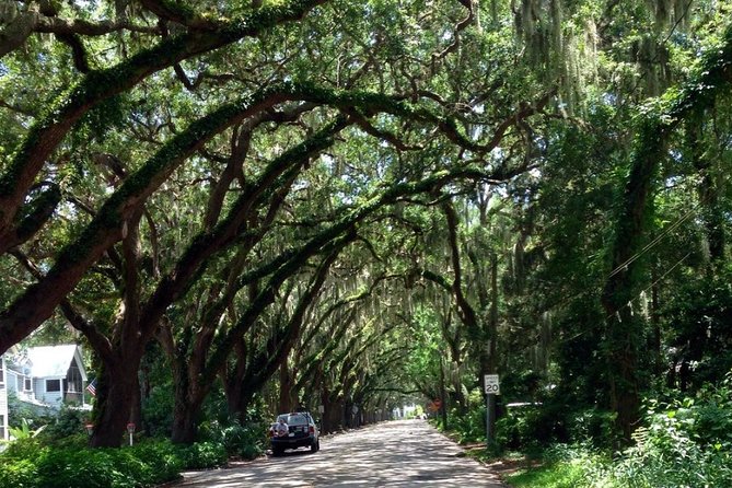 Private Guided Historic Electric Cart Tour of St. Augustine - Stop-and-see moments: getting great photos without extra walking