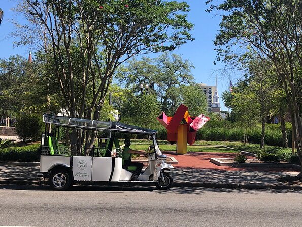 Public Art Tour in Jacksonville - What to expect day-of: mobile ticket, clear start, weather reality