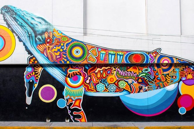 Puerto Vallarta Private Art Tour - The street-art stories you get from a bilingual expert