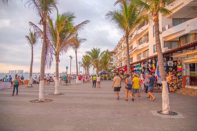 Puerto Vallarta Private Art Tour - Small-group limits: why ten people changes the vibe