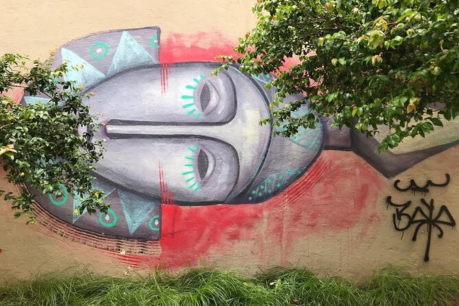 Rio Street Art Tour - Meet Nina: the guide makes the art click