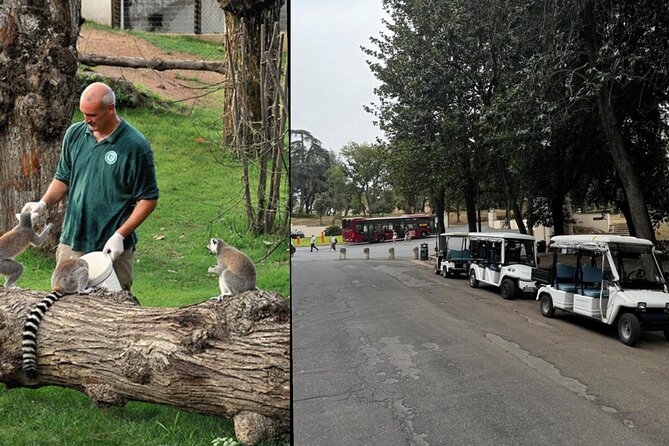 Rome: Entrance ticket Zoo + Golf Cart tour of Villa Borghese - Key points before you go