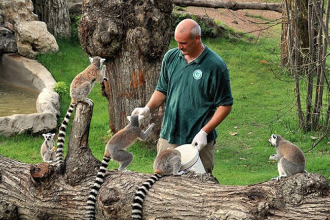 Rome: Entrance ticket Zoo + Golf Cart tour of Villa Borghese - Why this golf-cart + zoo mix is a good Rome use of time