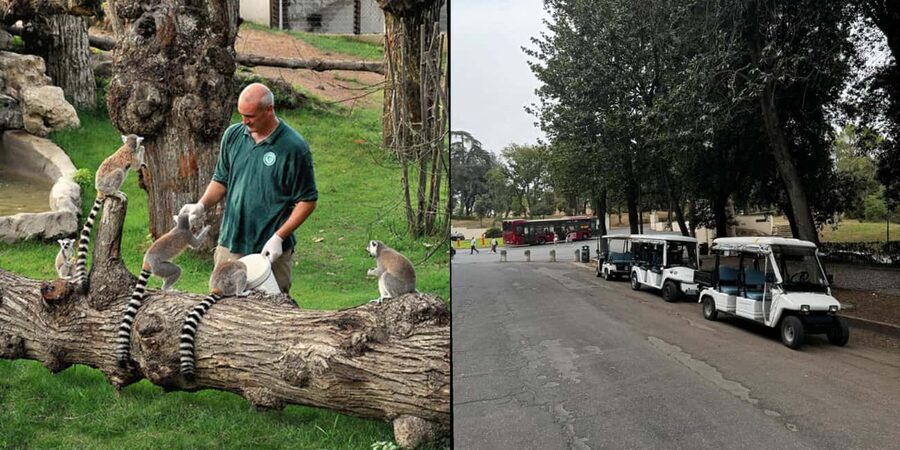 Rome: Zoo entry ticket + Villa Borghese Golf Cart Tour - Mostra dell’Acqua Felice: Where the Day Begins