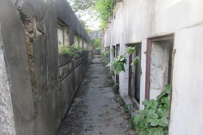 Saipan in a Day- WWII Pilgrimage & Amelia Earhart Tour - Walt Goodridge’s guide style: stories that stay friendly