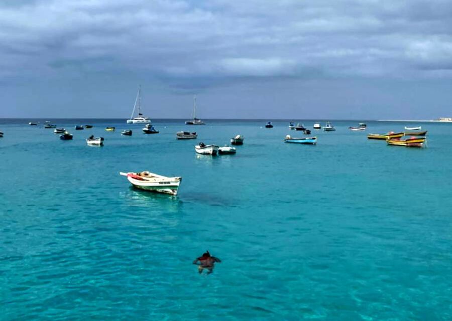Sal island: Santa Maria city tour, street art and tapas - Pontão: the salt-export bridge that feeds the town
