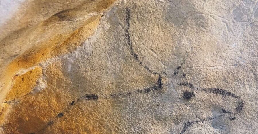 Santander: El Castillo Caves & Paleolithic Art Tour - UNESCO cave art near Santander: what makes El Castillo and Las Monedas special
