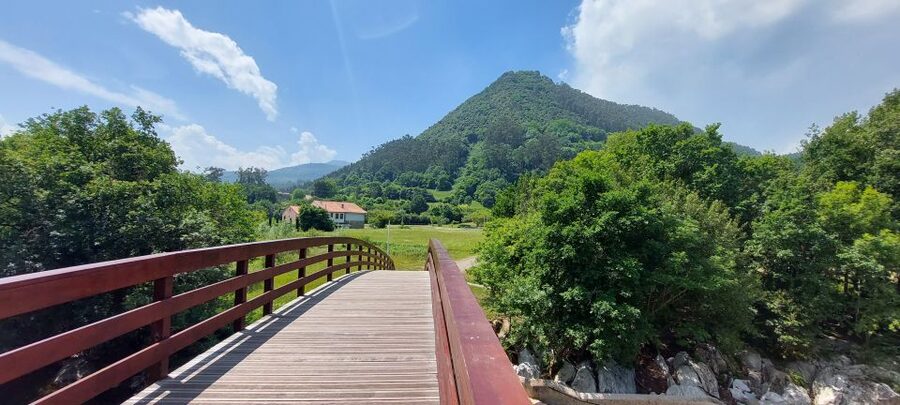 Santander: El Castillo Caves & Paleolithic Art Tour - Who this tour suits best (and who might not love it)