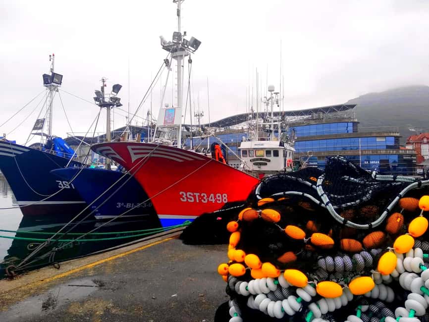 Santoña: Anchovy Art Gallery with Fishing Port and Market - Santoña’s fishing port: where the day starts and the catch moves