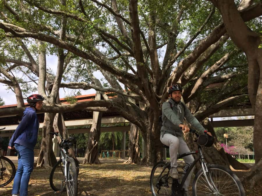 São Paulo: Street Art Bike Tour - The “in-between” photo stops: how to use short pauses well