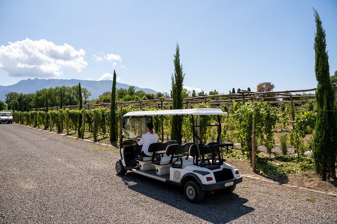 Seafood Lunch & Wine Tasting with Scenic Golf Cart Tour - Key highlights you’ll care about