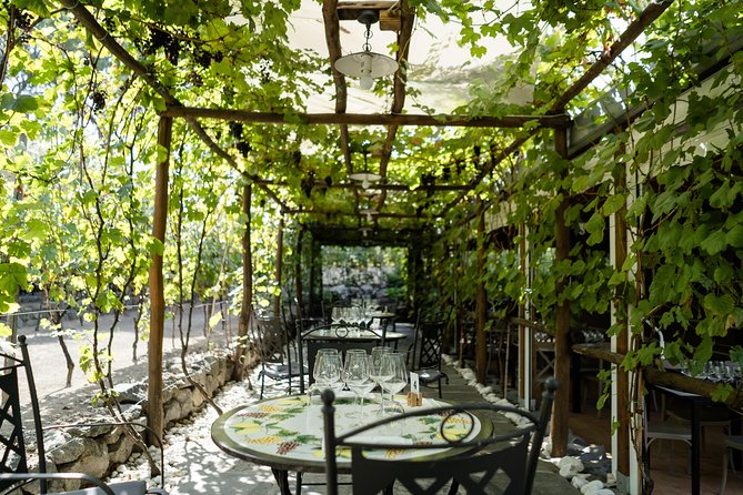 Seafood Lunch & Wine Tasting with Scenic Golf Cart Tour - Who this tour suits best