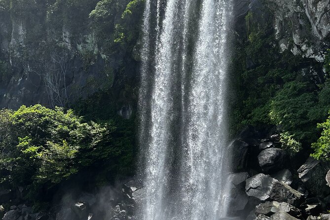 Seogwipo(the southern city of Jeju) Art Museum Walking Tour - Key highlights to look for