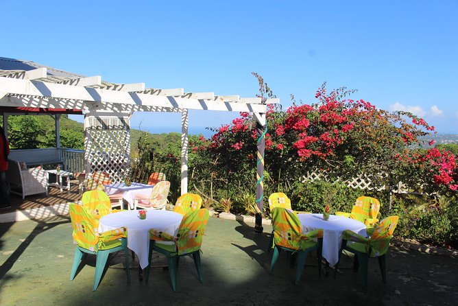Skip the Line: Ahhh Ras Natango Gallery and Garden Admission Tickets - A hillside garden tour that feels personal, not scripted