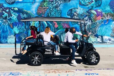 Small-Group Brewery Golf Cart Tour of Wynwood with a Local Guide - Wynwood Walls: Murals, Warehouse Courtyards, and an Entry Fee Heads-Up