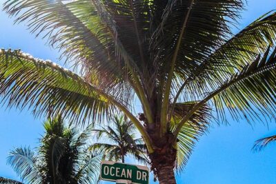 South Beach Golf Cart Tour - Miami Vice fun facts and Art Basel context for culture-minded travelers