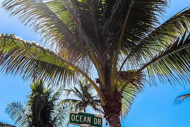 South Beach Golf Cart Tour - Miami Vice fun facts and Art Basel context for culture-minded travelers