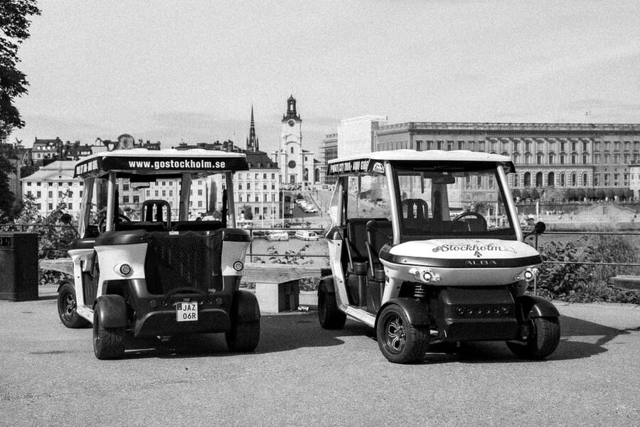 Stockholm Private Golf Cart Tours - Pet-friendly and mobility-friendly in real terms