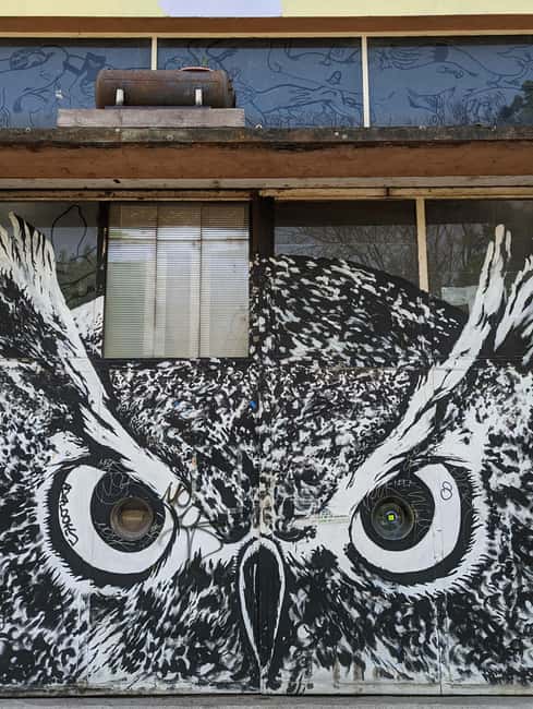 Strasbourg : Street-Art Tour - Best Photo Stops: How to Get Shots Without Blocking Anyone