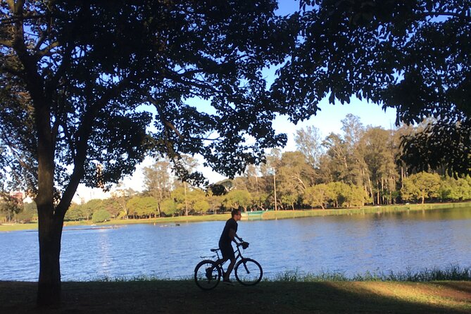 Street Art and Park Bike Tour - Bike through neighborhoods: bars, business, and public art