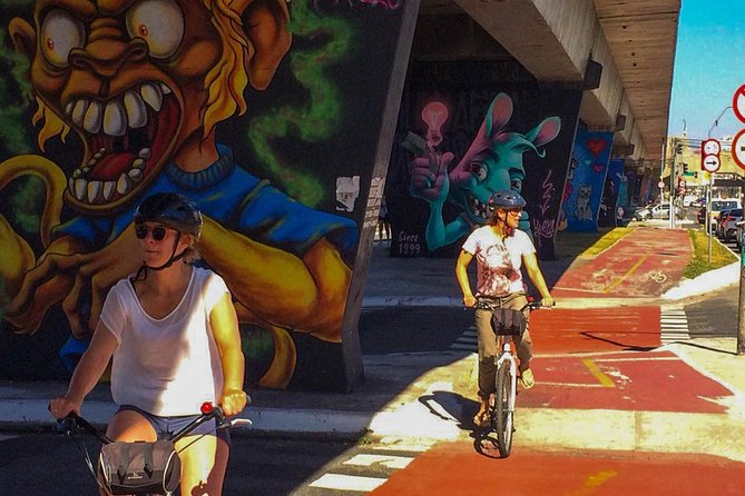 Street Art and Park Bike Tour - Museu Afro Brasil: art with context, not just decoration