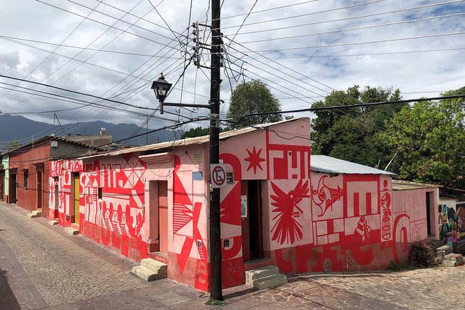 Street Art Bike Ride - The Guide’s Role: Context That Changes How You See the Walls