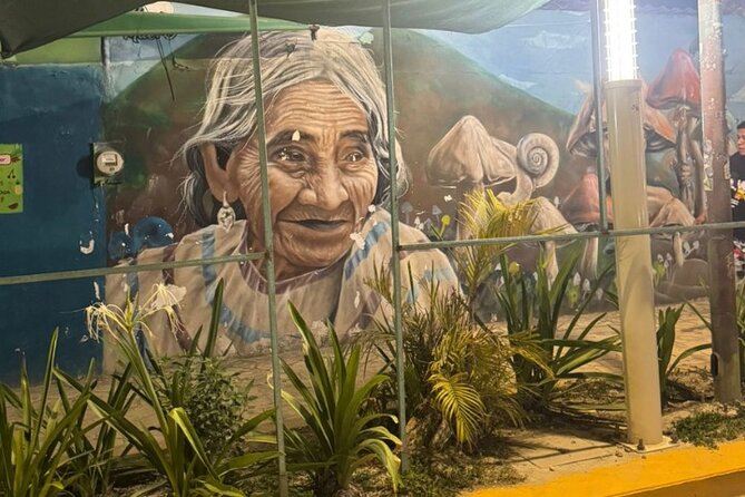 Street Art & Cemetery Cultural Tour - half day - How guides tie murals to Día de los Muertos stories