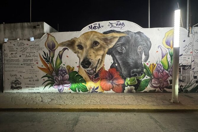 Street Art & Cemetery Cultural Tour - half day - Who this tour is best for