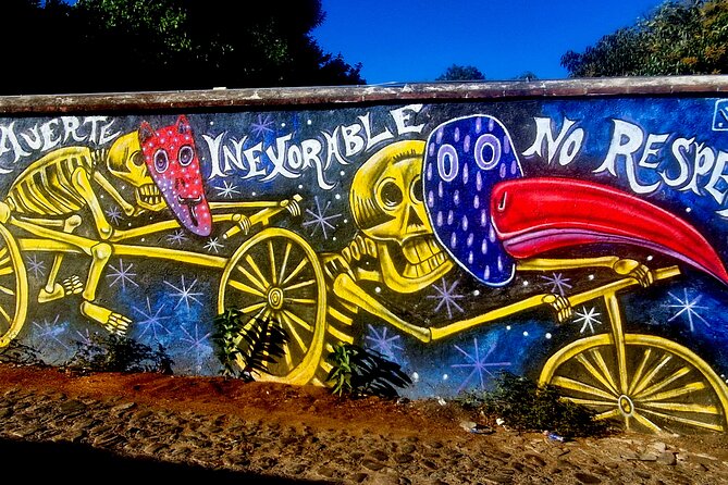 Street Art Tour With An Artist in Oaxaca - Price and Practical Value for $43