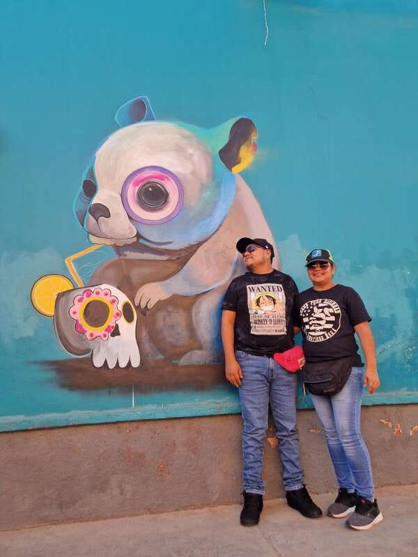 Street Art with an artist - Key things to know before you go