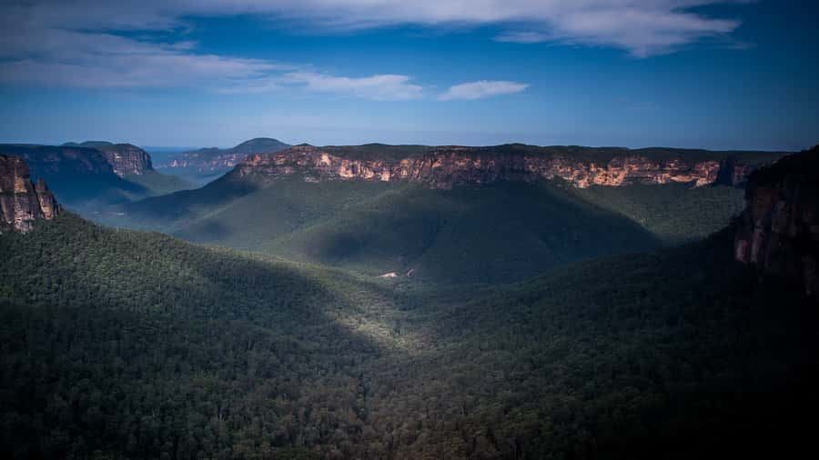 Sydney: Blue Mountains Late Start: Walks, Wildlife & Dinner - Key highlights that make this tour work
