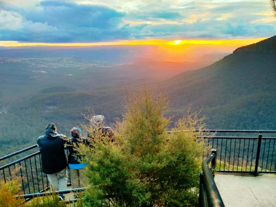 Sydney: Blue Mountains Late Start: Walks, Wildlife & Dinner - Calmsley Hill City Farm: koalas, kangaroos, and real wildlife time