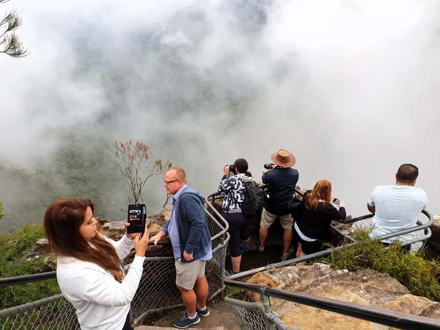 Sydney: Blue Mountains Late Start: Walks, Wildlife & Dinner - Megalong Valley: wildlife viewing and birdlife moments