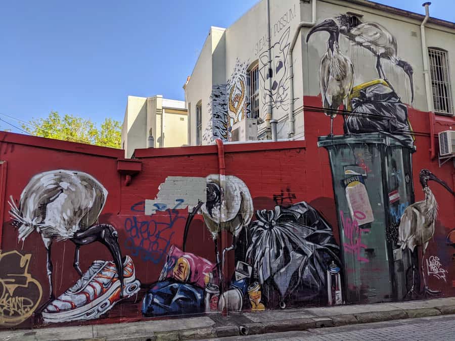Sydney: Street Art & Small Bar Tour with Complimentary Drink - Two routes, two neighborhood stories: Newtown or Redfern and Chippendale
