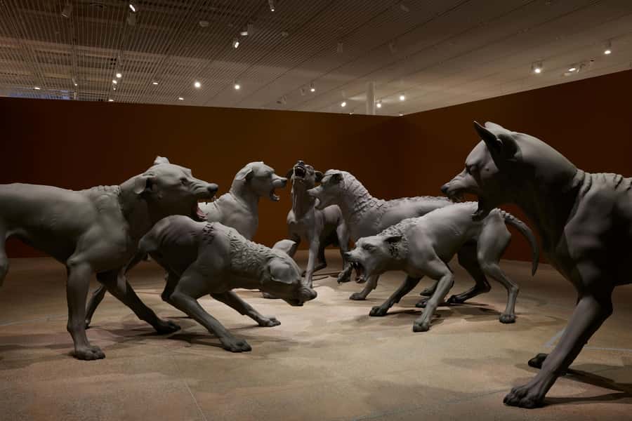 Sydney Summer Art Exhibitions Art Gallery of New South Wales - Early access and guided add-ons: when 9:30am is worth it