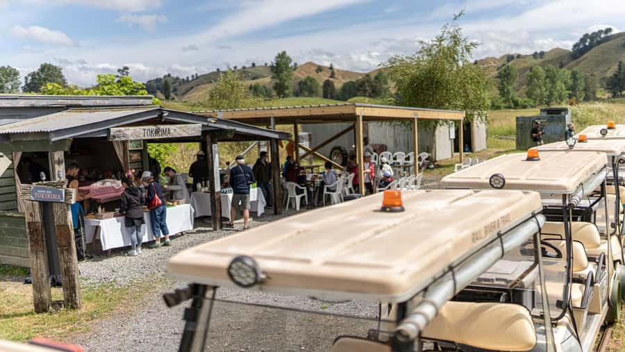 Taumarunui: Forgotten World Rail Cart Tour with Lunch - Key moments on the track