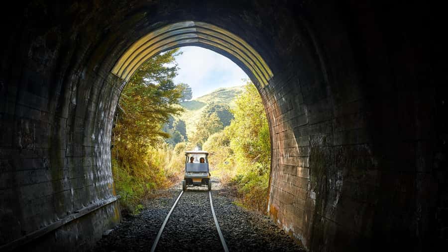 Taumarunui: Forgotten World Rail Cart Tour with Lunch - A rail cart tour that feels hands-on, not museum-flat