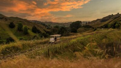 Taumarunui: Forgotten World Rail Cart Tour with Lunch - The 5-hour rhythm: Taumarunui check-in to Okahukura, Tokirima, and back