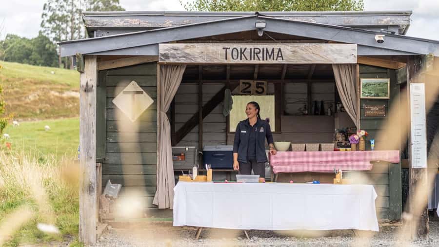 Taumarunui: Forgotten World Rail Cart Tour with Lunch - Who should book (and who should skip this rail cart day)