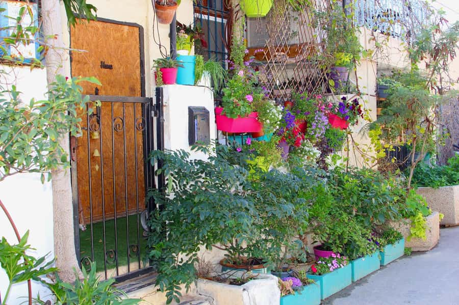 Tel Aviv: Florentin Saturday Walking Tour - Price and value: does $69 for 3 hours add up?
