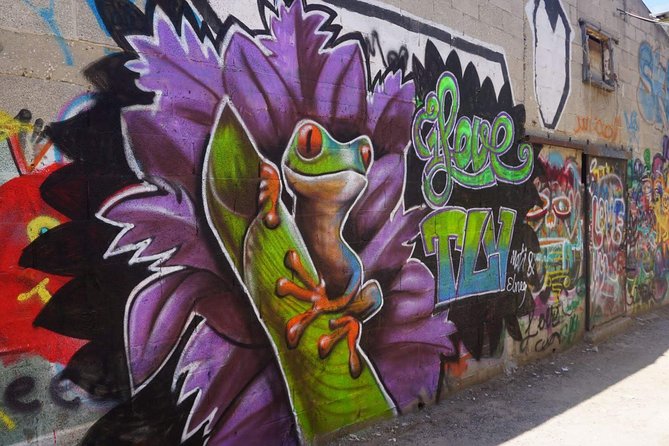 Tel Aviv Street Art & Graffiti Tour - Key highlights you’ll feel on the walk
