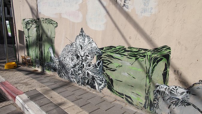 Tel Aviv Street Art Tour - Entering South Tel Aviv Street Art on Purpose