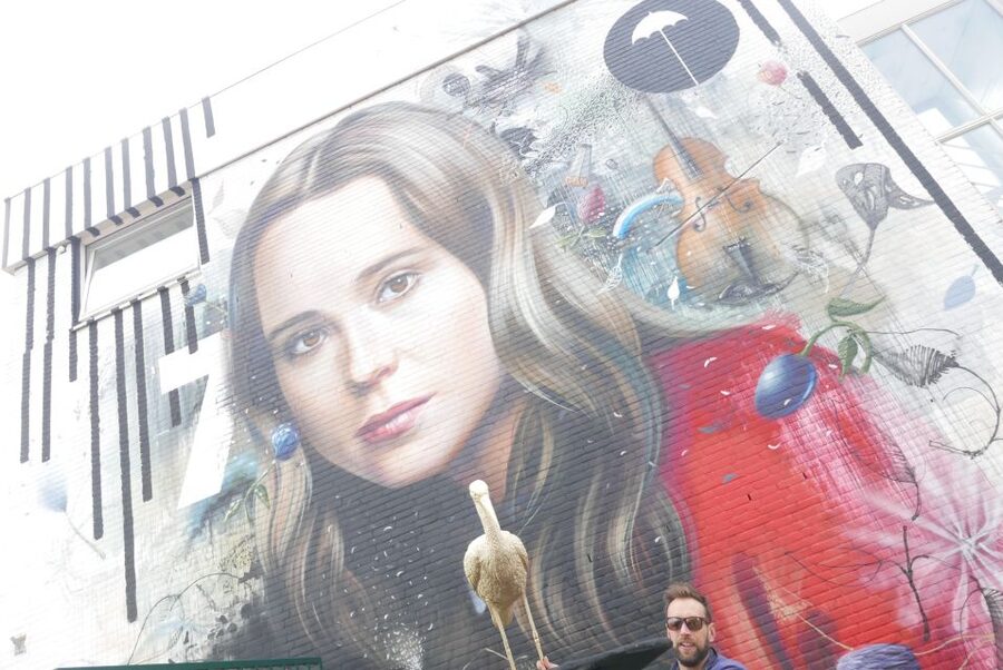 The Hague: Street Art Tour by Bike - Price and value: is $28 good for this kind of tour?