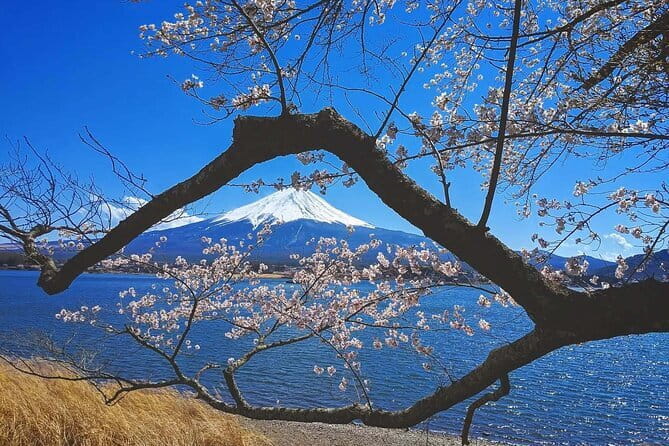 Tokyo ART Walking: National Museum and Yanaka ART Area - Gokoku-in Temple and Yanaka Cemetery: art walking with a calmer beat