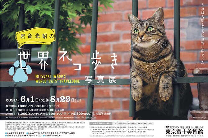 Tokyo Fuji Art Museum Admission Ticket + Special Exhibition (when being held) - Tickets without the headache: how entry tends to work