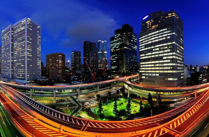 Tokyo Like a Local: Private & Personalised Experience (2-3 hours) - Key highlights that make this tour worth it
