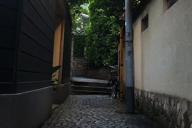 Tokyo Private Art Tour in Kagurazaka Shinjuku with Licensed Guide - Stop 1: Yayoi Kusama Museum for art you can actually see