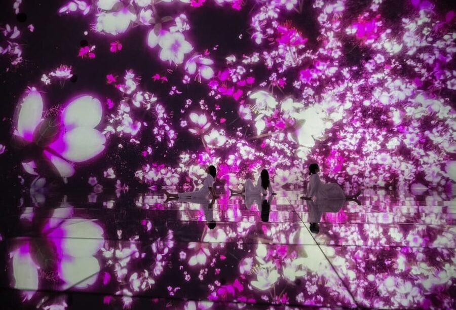 Tokyo: teamLab Planets TOKYO Digital Art Museum Entry Ticket - Inside the Exhibit: Water Gallery, Forest Atmospheres, Orchids, and Flower Rooms