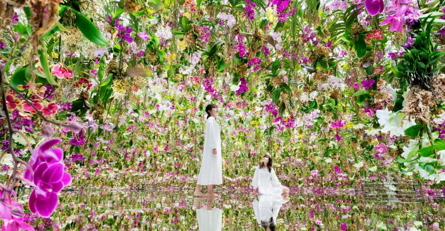 Tokyo: teamLab Planets TOKYO Digital Art Museum Entry Ticket - Practical Planning for a Smooth Visit (Flow, Noise, and Staying Present)